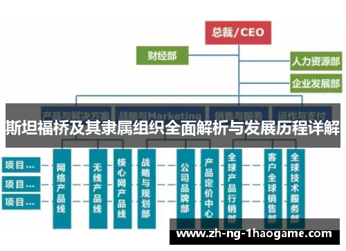斯坦福桥及其隶属组织全面解析与发展历程详解